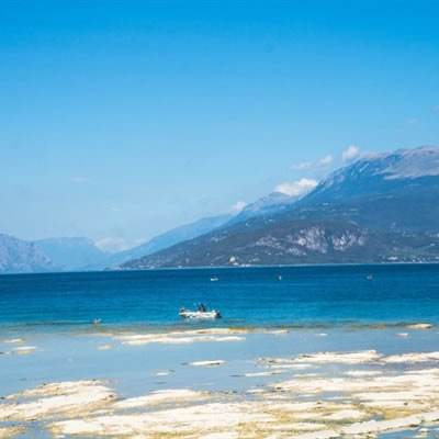 环球体育官网下载