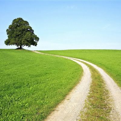 环球体育官网下载