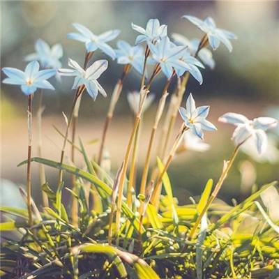 pg电子娱乐官网游戏下载手机版