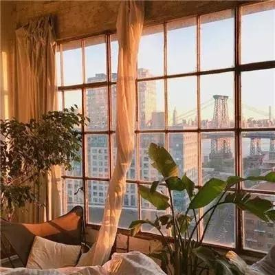 新manbetx-万博全站