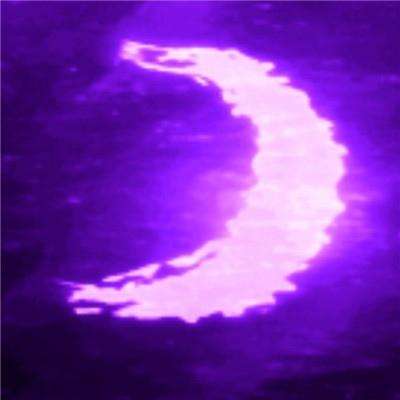 ob体育最新官网下载手机版