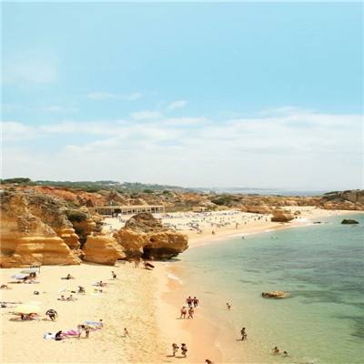 365体育手机版入口