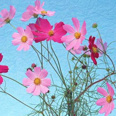 bob半岛在线登录